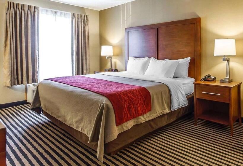 Номер Deluxe Кровать Кинг, Comfort Inn Owatonna Near Medical Center