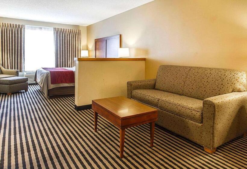 Стандартный Номер Кровать Кинг, Comfort Inn Owatonna Near Medical Center