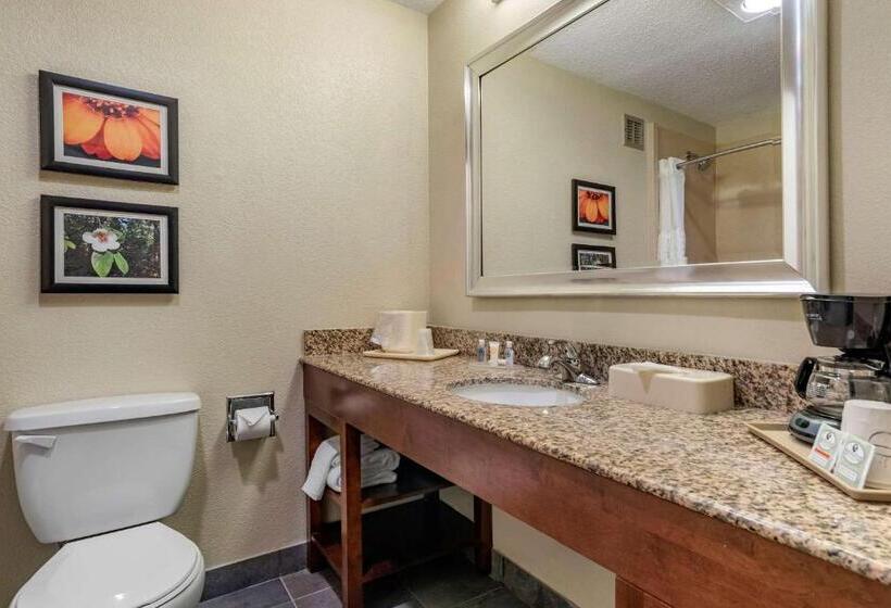 Номер Стандарт 2 Двуспальные Кровати, Comfort Inn