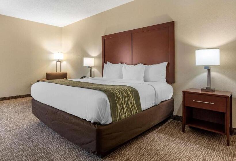 Люкс Кровать Кинг, Comfort Inn