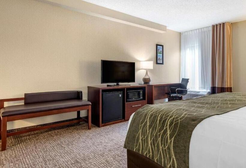 Номер Стандарт Кровать Кинг Адаптированный для Инвалидов, Comfort Inn