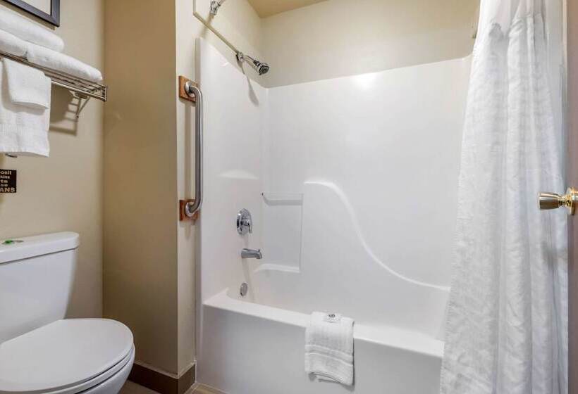 Pokój Standard 2 Łóżka Małżeńskie, Comfort Inn & Suites Alamosa