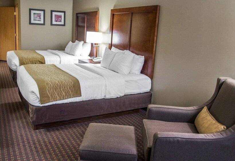 Номер Стандарт 2 Двуспальные Кровати, Comfort Inn & Suites Riverview Near Davenport And I80