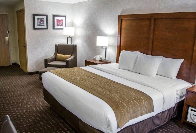강 전망 스위트, Comfort Inn & Suites Riverview Near Davenport And I80