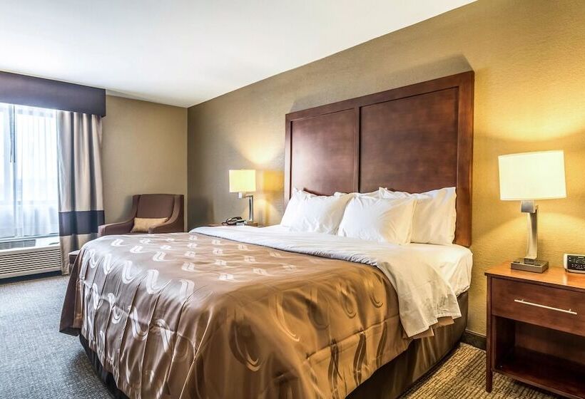 套房, Quality Inn & Suites Salem Near I57