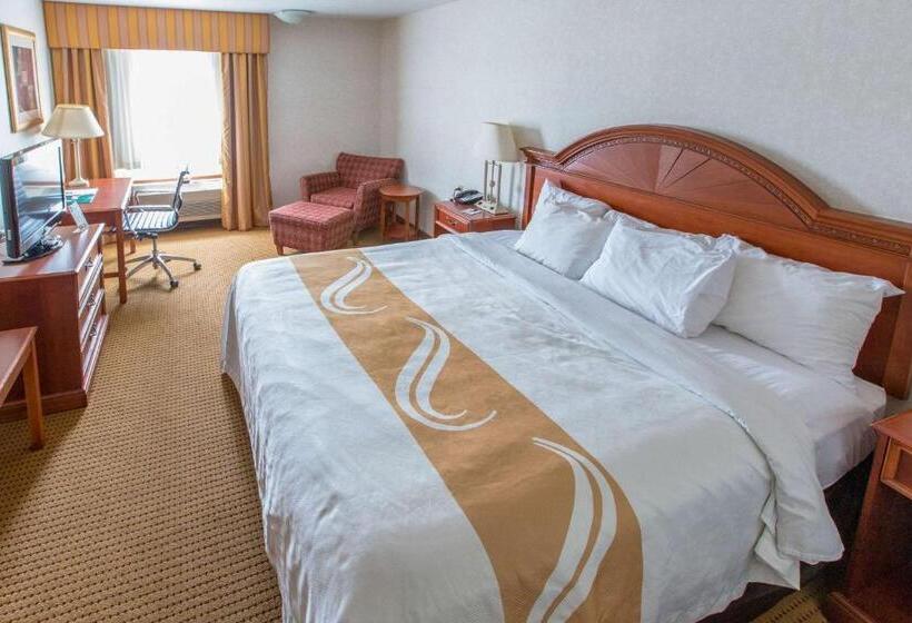 Стандартный Номер Кровать Кинг, Quality Inn & Suites University