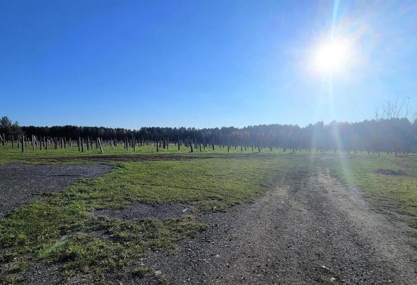 Дом 1 Спальня, Auberge Du Vignoble Bromont