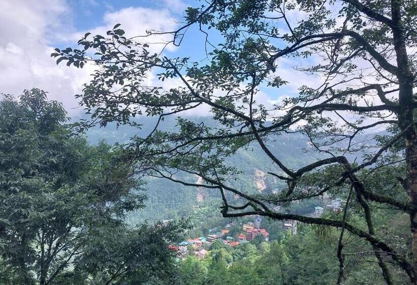 수피리어 룸, Bella Casa