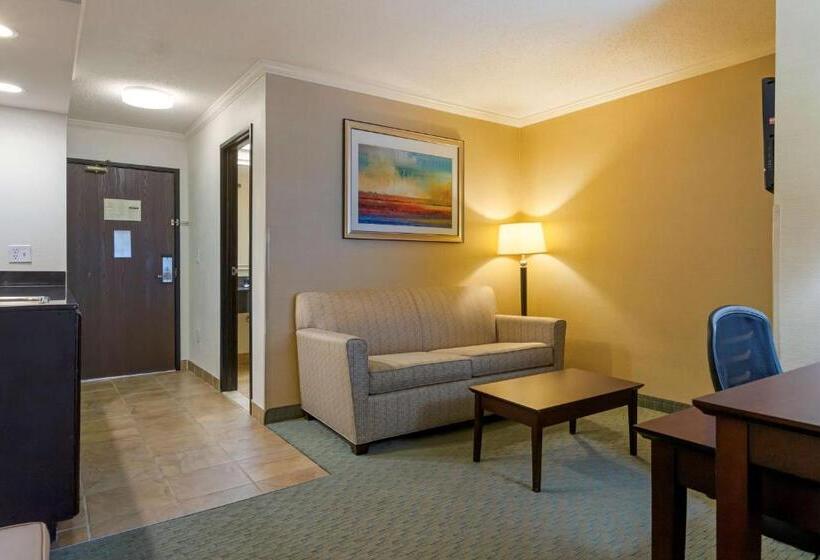 Люкс Кровать Кинг, Best Western Davison Inn