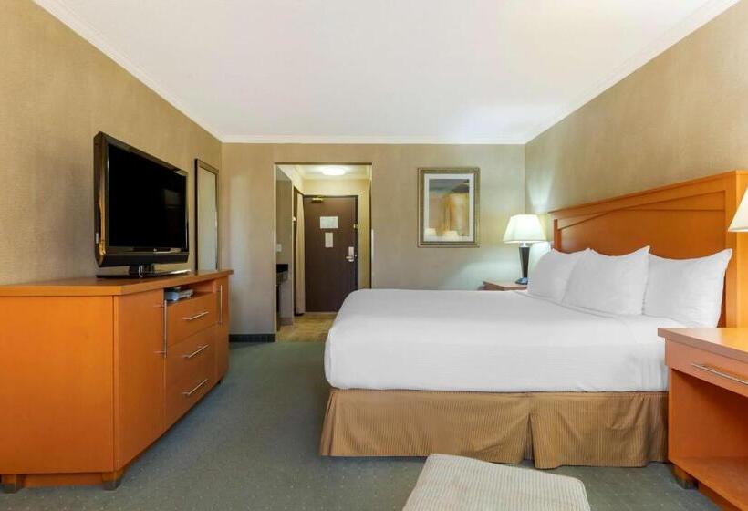 Номер Стандарт, Best Western Davison Inn