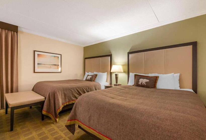 Номер Стандарт, Best Western Plus White Bear Country Inn