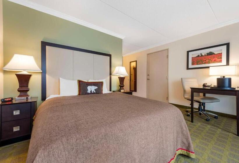 Номер Стандарт Адаптированный для Инвалидов, Best Western Plus White Bear Country Inn