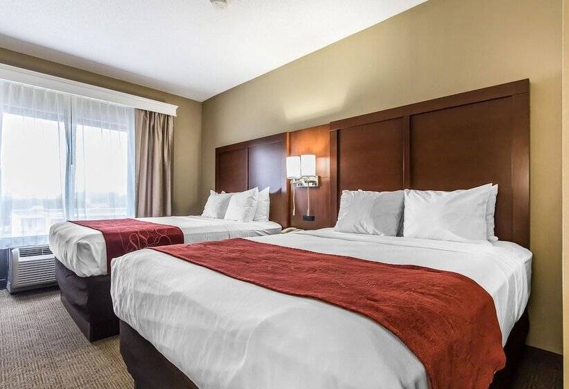 套房, Comfort Suites Effingham