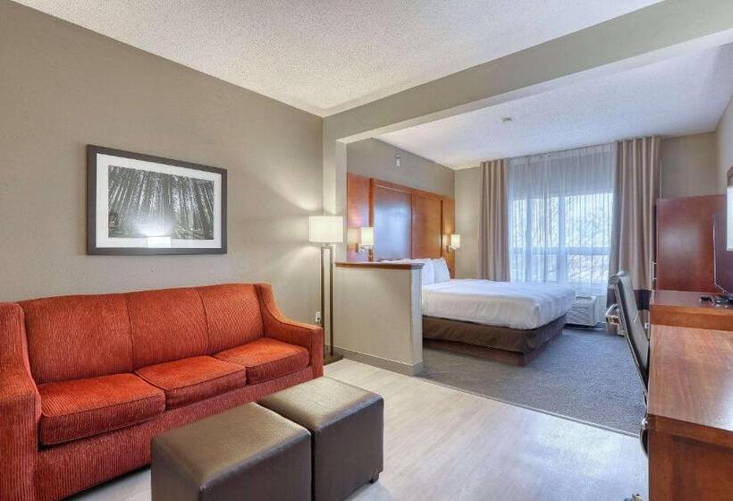 Suíte Executiva Cama king, Comfort Suites Madison West