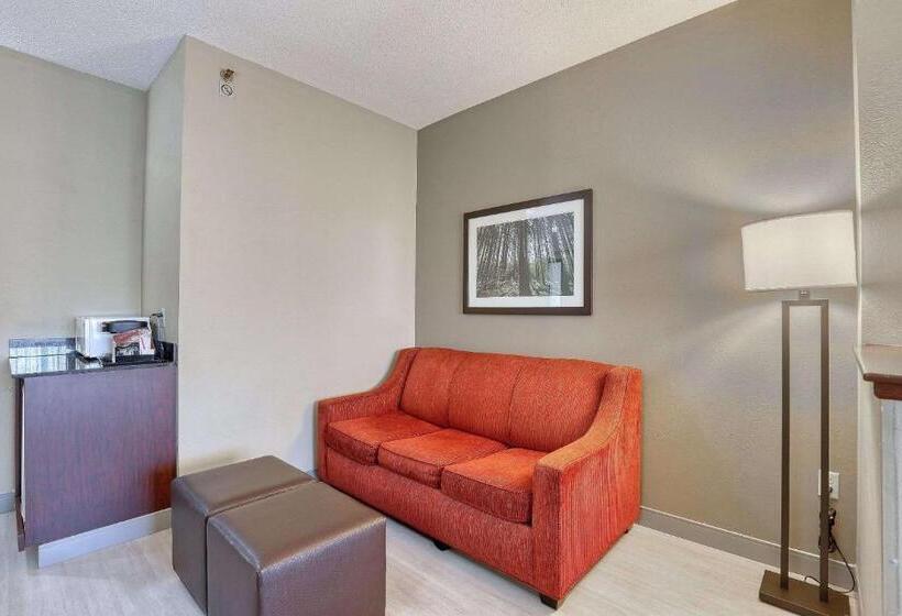 스위트 킹사이즈 침대, Comfort Suites Madison West