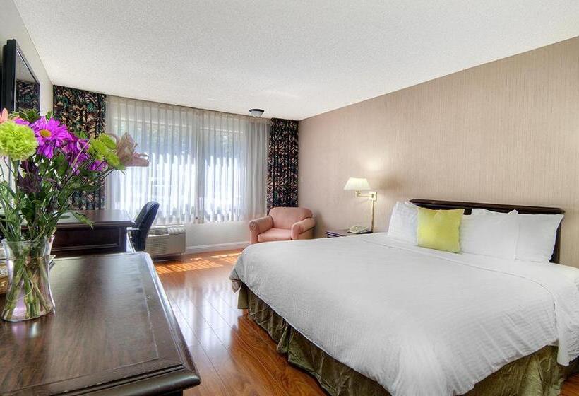 Стандартный Номер Кровать Кинг, County Inn