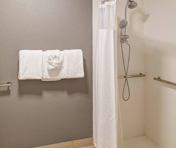 Cameră Standard Pat Matrimonial, Courtyard By Marriott Columbia Northeast/fort Jackson Area