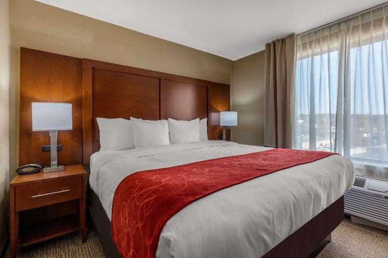Standard Room Adapted for people with reduced mobility, Holiday Inn Express Hotel & Suites Topeka North By Ihg