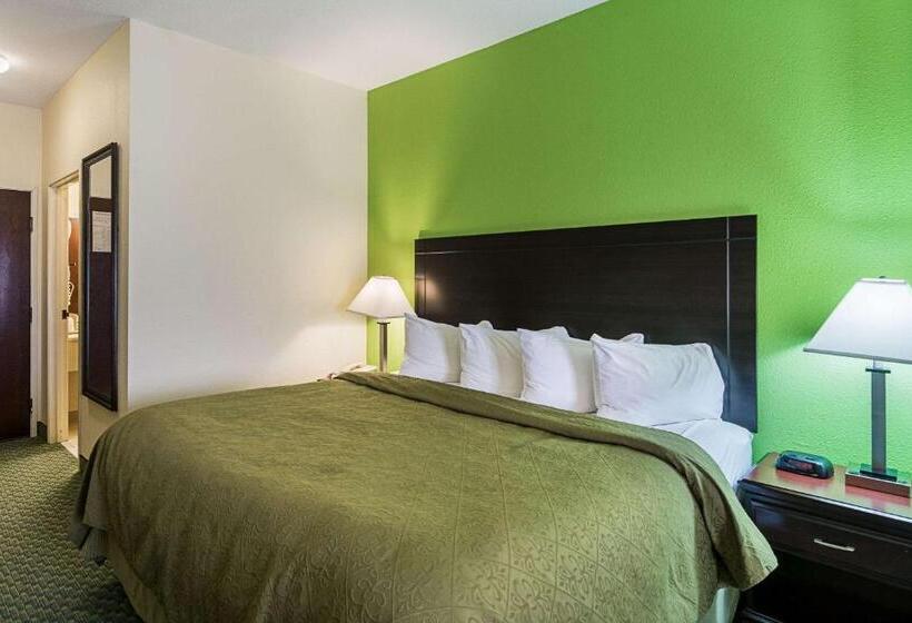 Suite King Size Seng, Quality Inn & Suites Near I 80 And I 294