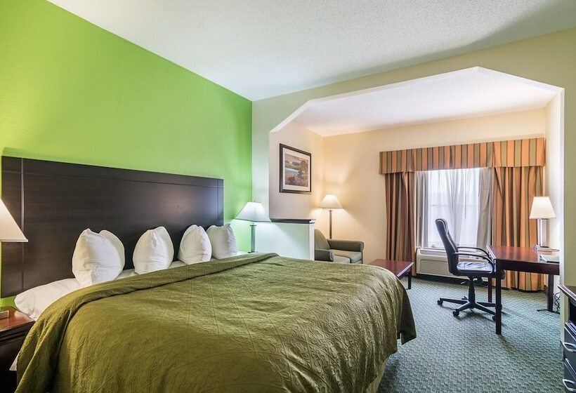 Suite, Quality Inn & Suites Near I 80 And I 294