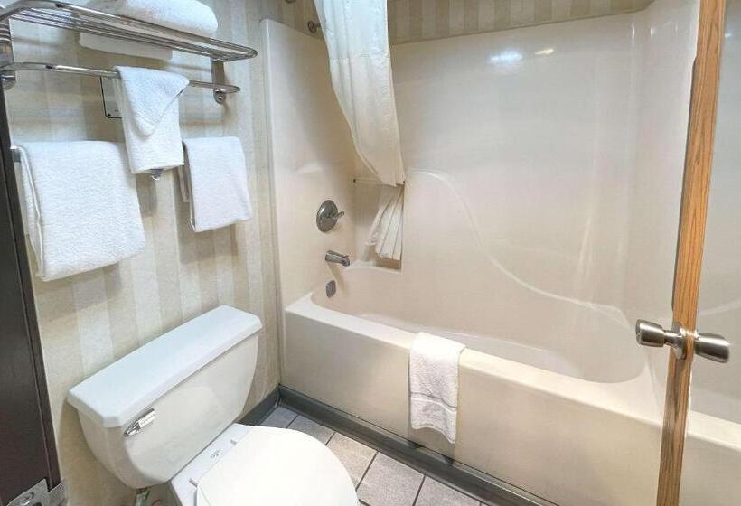 스탠다드 룸, Quality Inn & Suites North Gibsonia
