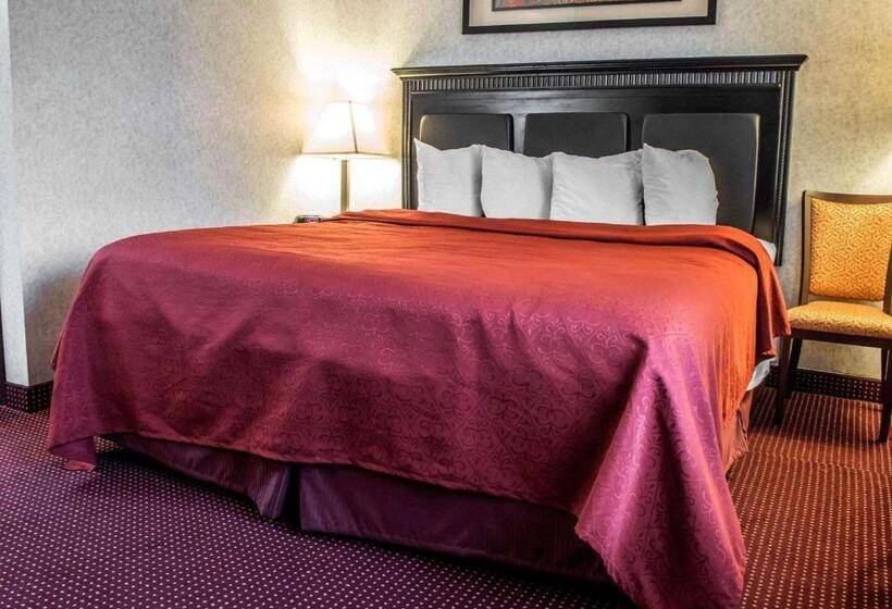 스탠다드 룸 킹사이즈 침대, Quality Inn & Suites North Gibsonia