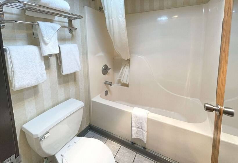 스탠다드 룸 더블 침대 2개, Quality Inn & Suites North Gibsonia