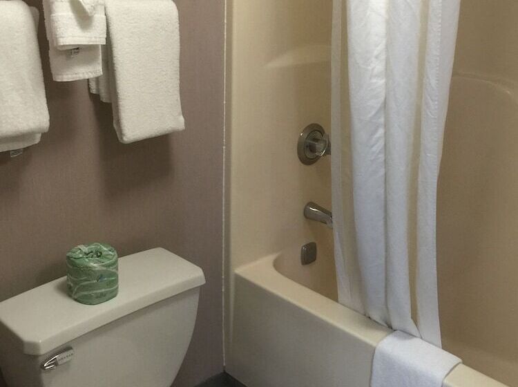 프레지덴셜 스위트, Quality Inn & Suites North Gibsonia
