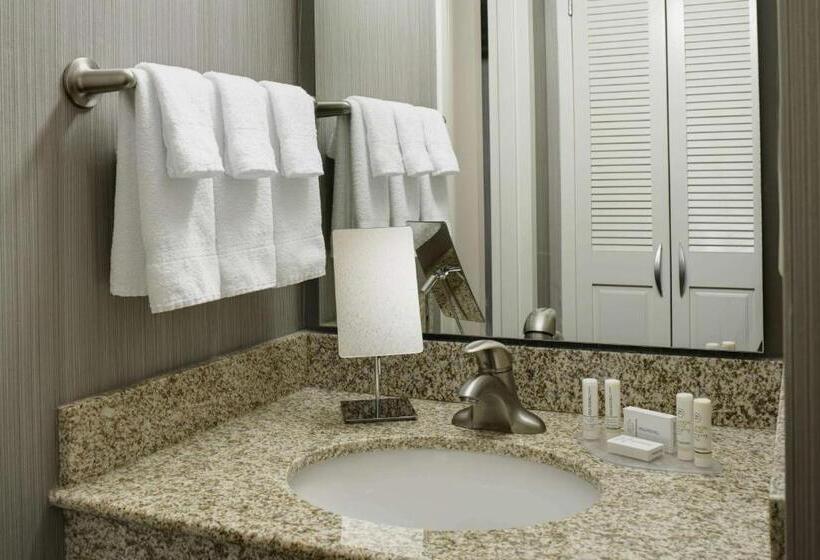 스위트 킹사이즈 침대, Sonesta Select Milwaukee Brookfield