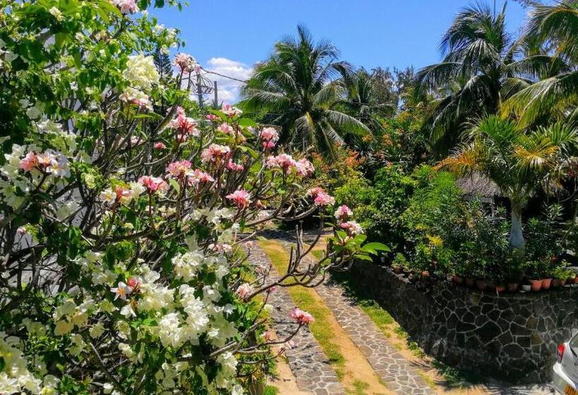 آپارتمان 1 خوابه با چشم‌انداز دریا, Blue Beryl Guest House