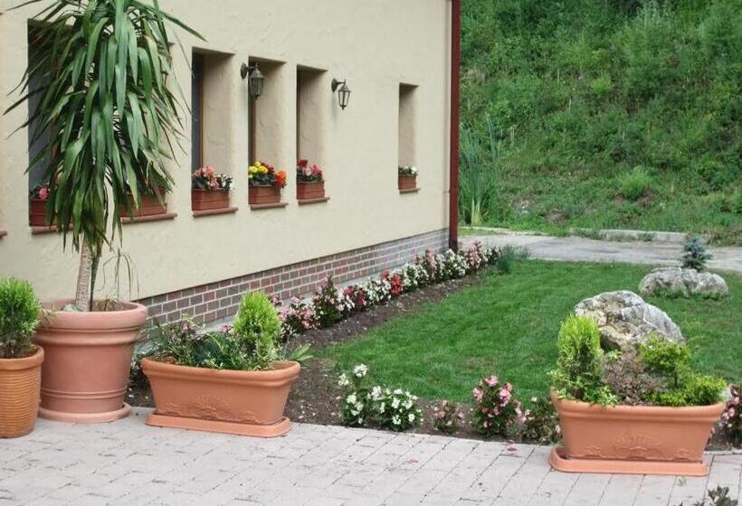 带共用浴室的标准房间, Penzión Drieňovkou