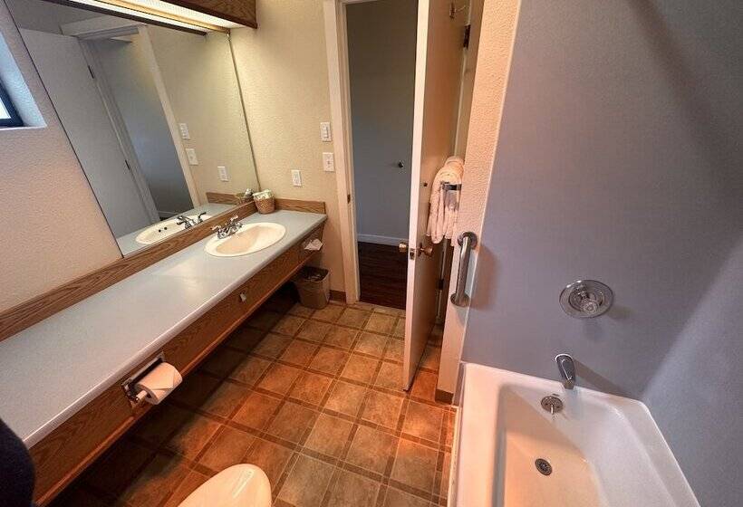 Номер Стандарт 2 Двуспальные Кровати, Astoria Crest Motel