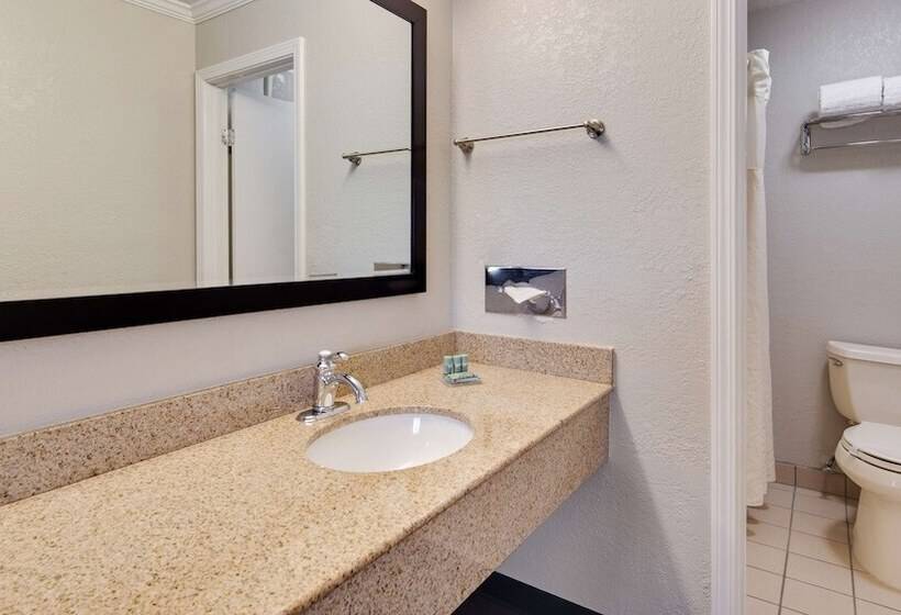 Номер Стандарт 2 Двуспальные Кровати, Best Western Clermont