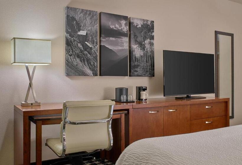 חדר סטנדרט נוף לעיר, Courtyard By Marriott Denver Downtown