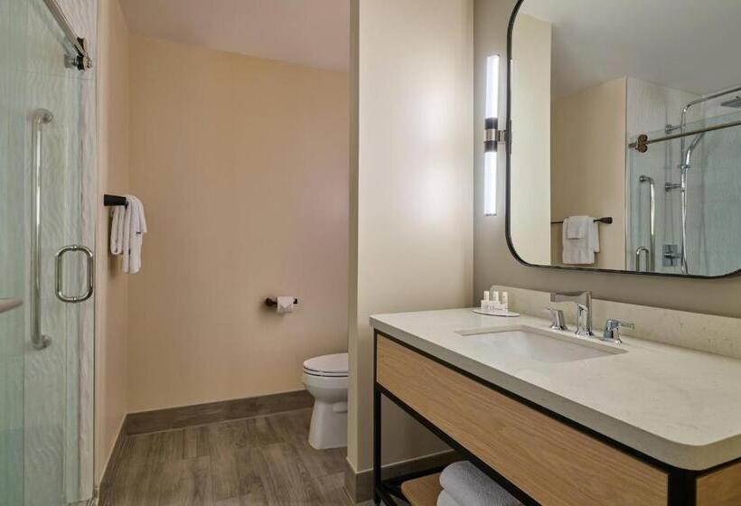 חדר סטנדרט מותאם לאדם עם מוגבלויות, Courtyard By Marriott Denver Downtown