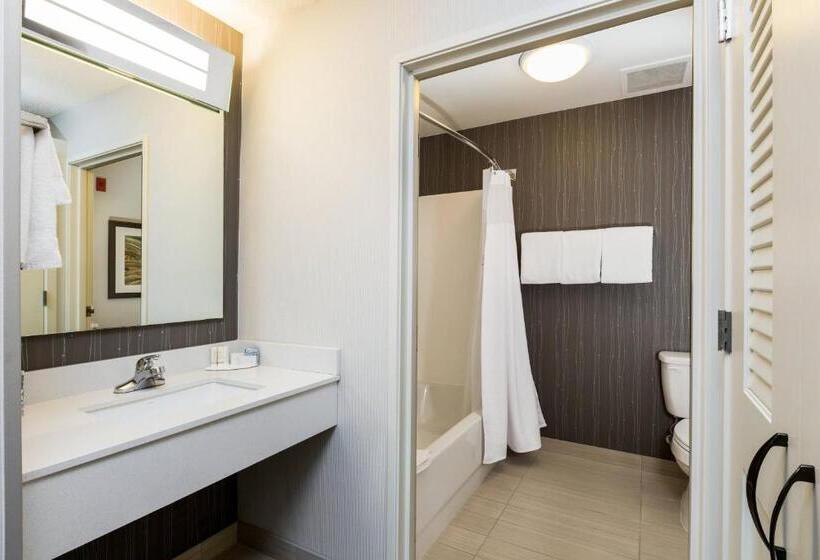 Номер Стандарт, Courtyard Dallas Mesquite