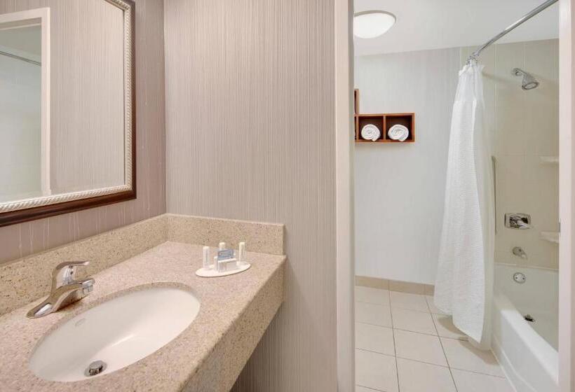스위트, Courtyard Detroit Southfield