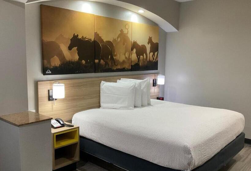キングサイドベッドのスタンダードワンルーム, Days Inn By Wyndham Humble/houston Intercontinental Airport