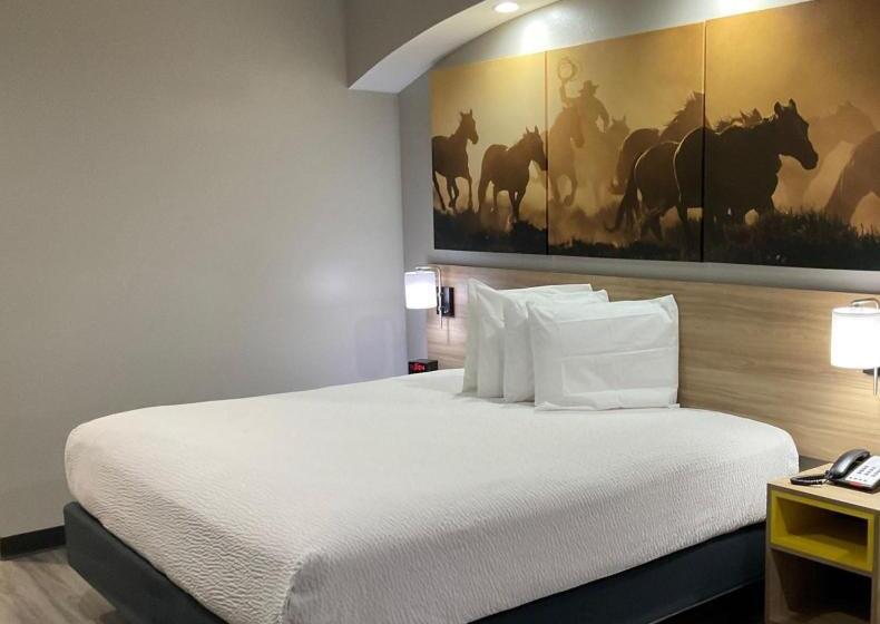 身障者適用キングサイズベッドルーム, Days Inn By Wyndham Humble/houston Intercontinental Airport