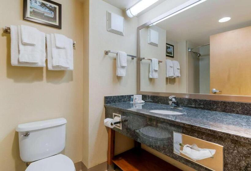 Quarto Classe Business, Comfort Inn Mechanicsburg  Harrisburg South