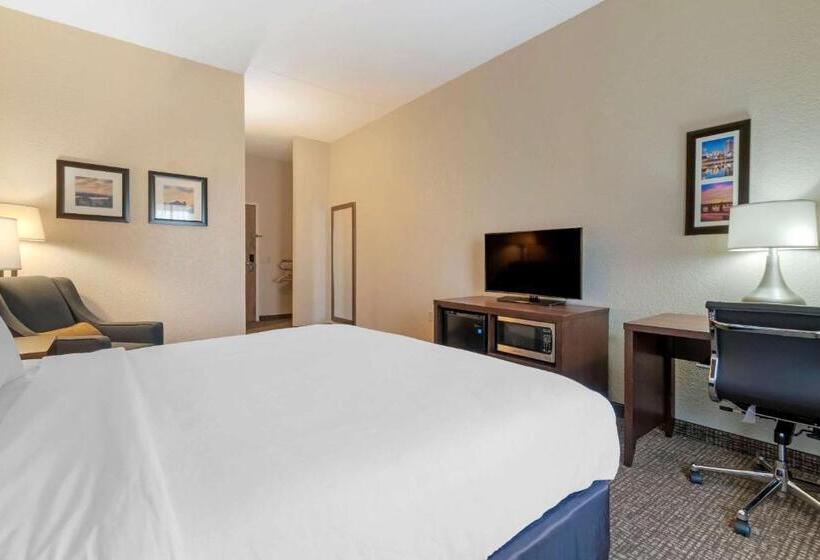 장애인을 위한 킹사이즈 침대 스탠다드 룸, Comfort Inn Mechanicsburg  Harrisburg South