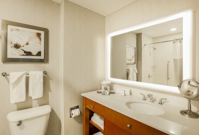 חדר סטנדרט שתי מיטות זוגיות, Doubletree By Hilton Atlanta Airport