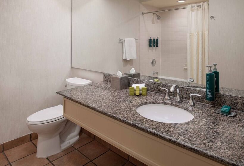 Номер Стандарт, Doubletree By Hilton Sonoma   Wine Country