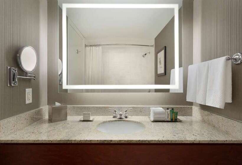 Suite met Kingsize Bed, Hilton Chicago/magnificent Mile Suites
