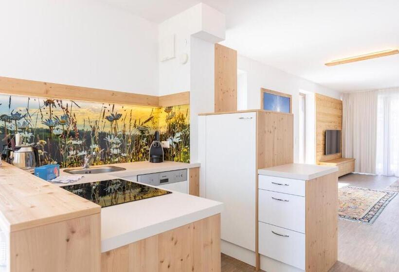 آپارتمان سوپریور 2 خوابه, Alpenrock Schladming By Alps Resorts