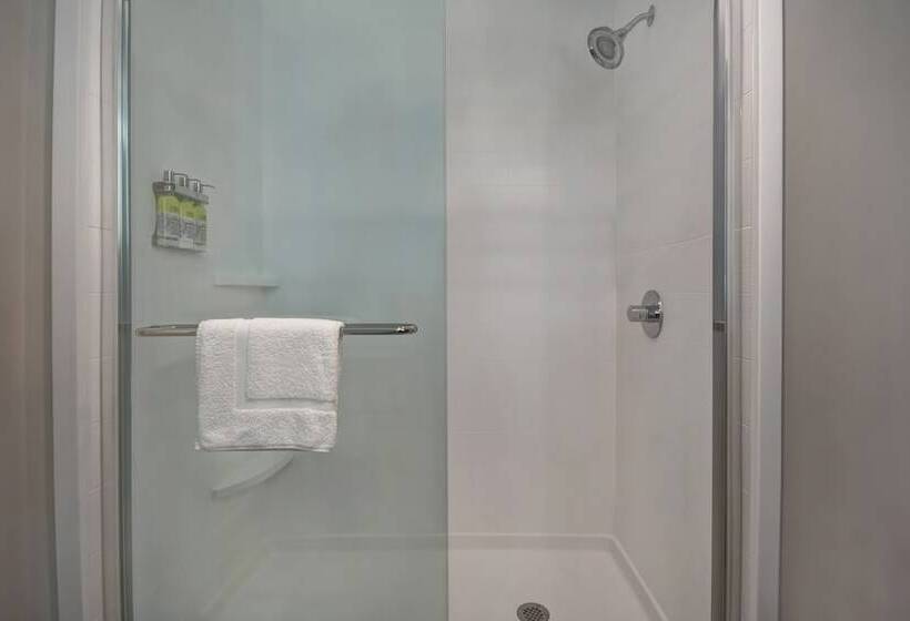 可观景的套房, Holiday Inn Express & Suites   Galveston Beach, An Ihg