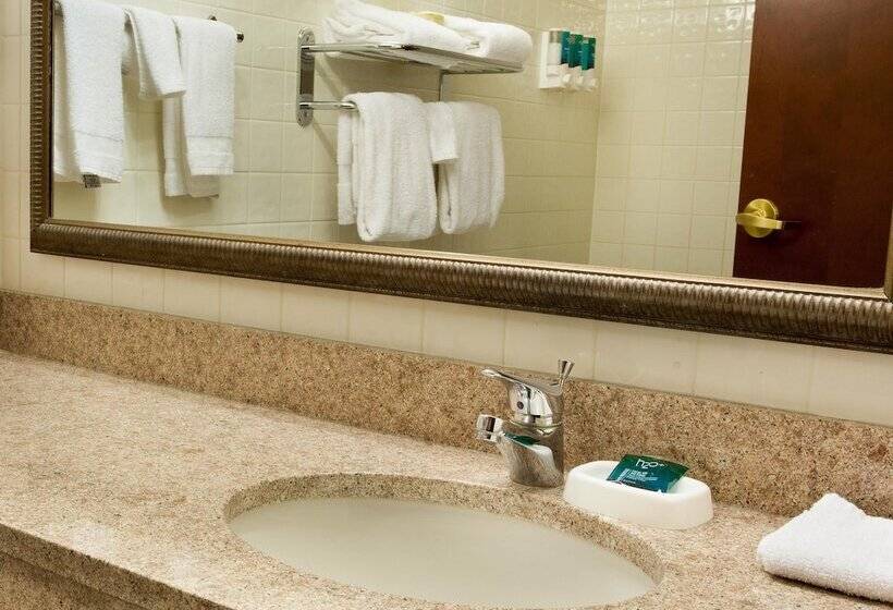 适用于残疾人士的豪华房间, Drury Inn & Suites St. Louis Creve Coeur