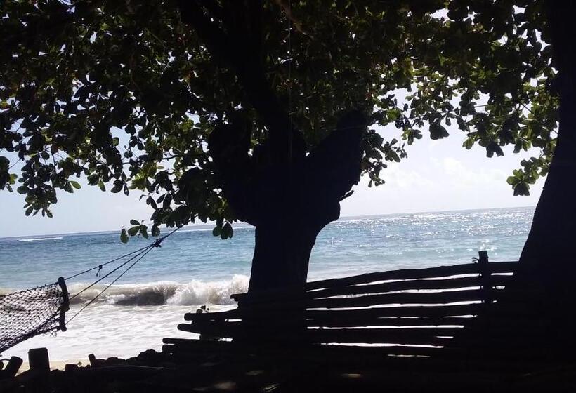 چادر با خدمات رفاهی استاندارد, Port Antonio Brian S Beach House
