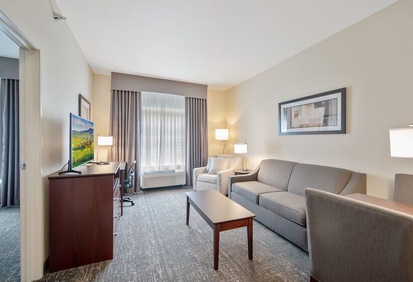 סוויטה, Cobblestone Hotel & Suites   Austin