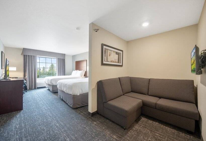 Студия Стандарт, Cobblestone Hotel & Suites   Austin